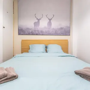  Appartement Bel Type T3 Refait A Neuf